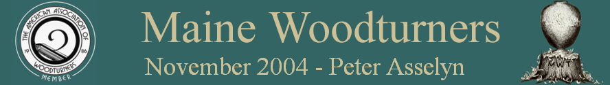 November 2004 - Peter Asselyn
