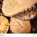 logs